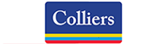 CoStar Group Logo